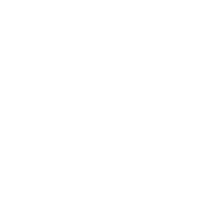 IGDE emblem