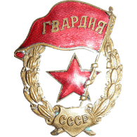 219TH emblem