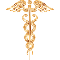 DEDOC emblem