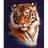 BI3NP emblem