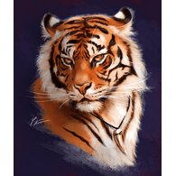 BI3NP emblem