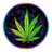 R_P_T emblem