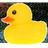 KACSA emblem