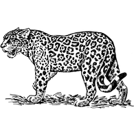 L30 emblem