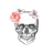 NOL1K emblem