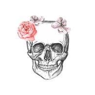 NOL1K emblem