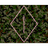 GRAZL emblem