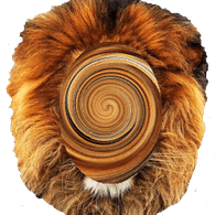 MANE emblem