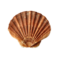GARY emblem