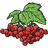 KLYNA emblem