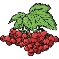 KLYNA emblem
