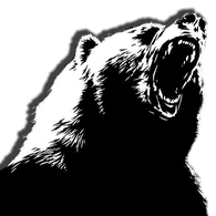 YG-TR emblem