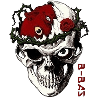 B-BAS emblem