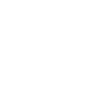 903 emblem