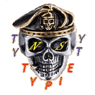 N_S emblem