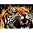 CLT emblem