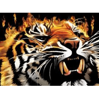 CLT emblem