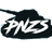 PNZS emblem