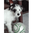 RAMO emblem