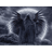 ANCI emblem