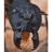 E_A_F emblem