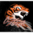 CZTIG emblem