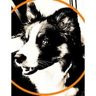 BUROK emblem