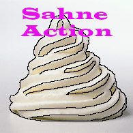 SAHN emblem