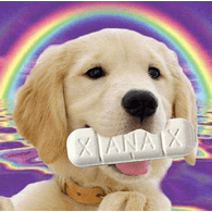 X4N emblem