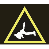 DAMA emblem
