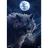 NIGW emblem