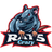 C-RAT emblem