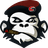 SAVVY emblem