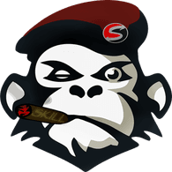 SAVVY emblem