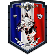 L-FS emblem