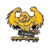 X_G_P emblem