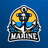 VOYS emblem