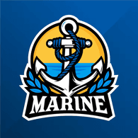 VOYS emblem