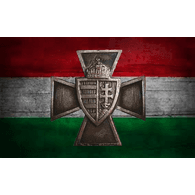 VSS emblem