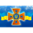 DSNS_ emblem