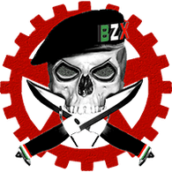 BZX emblem