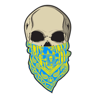 SYNR2 emblem