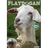 DAZW emblem