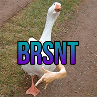 BRSNT emblem