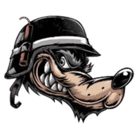 S_W emblem