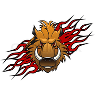 DSAUH emblem