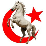 TAYGA emblem