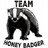 THB01 emblem