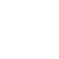 15985 emblem
