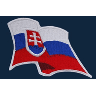 S_T_L emblem